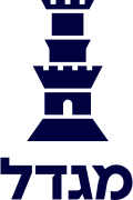 מגדל